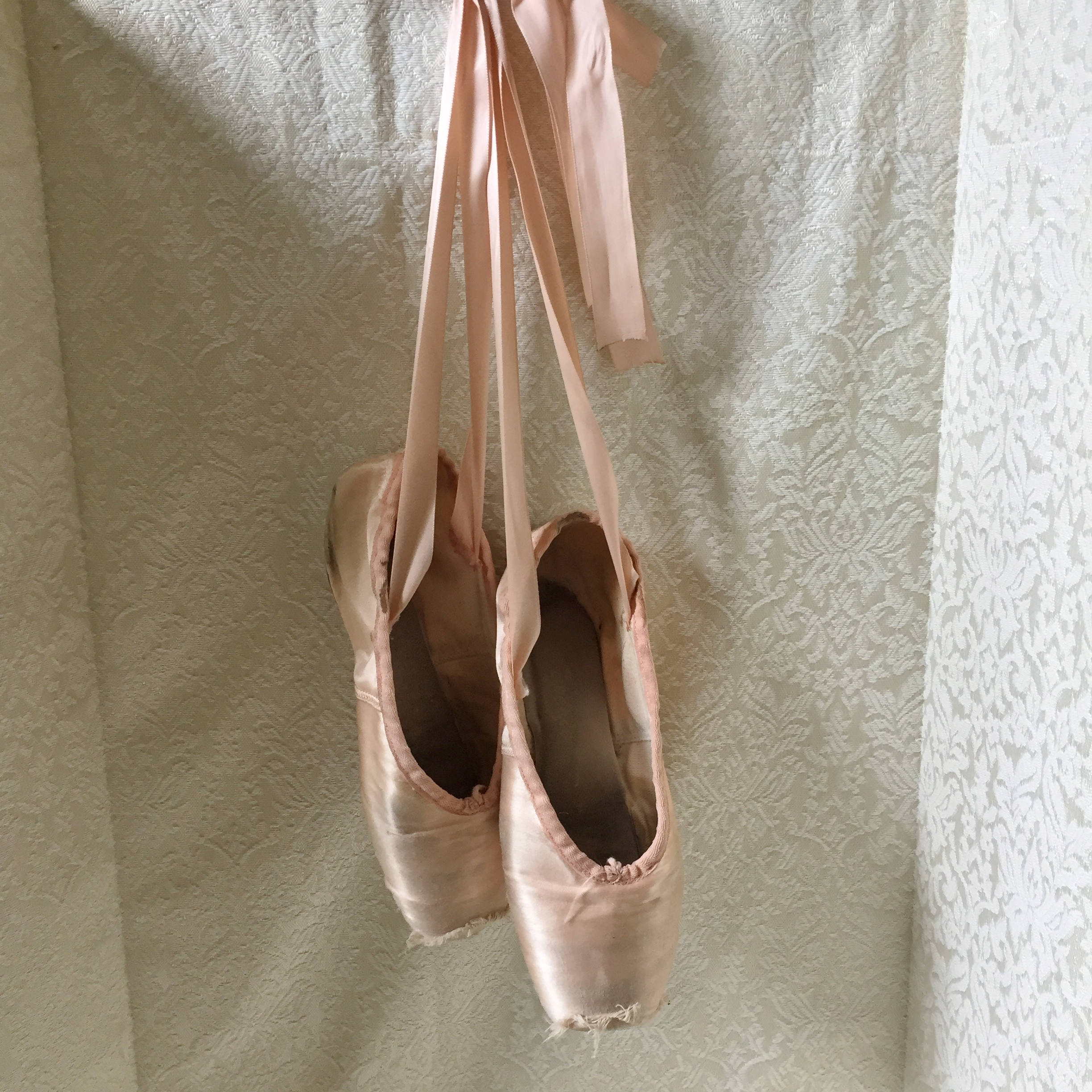 Ballet Pointe Shoes Used with Dead Toes for Crafts and Chic Etsy