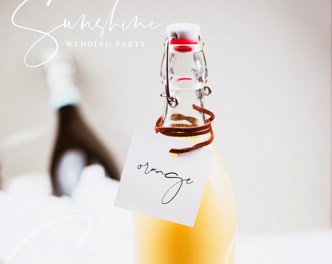 Drink Tag Template, Party Drink Name Tags, Wedding Drink Tag, Christmas Drink Tag, Editable Template, Baby Bridal Shower Instant Download M4