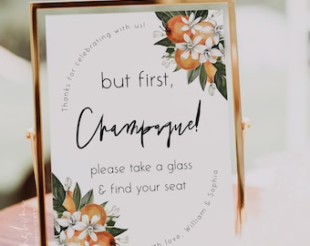 Orange Wedding Champagne Sign Template, Please Take a Glass Sign, Wedding Champagne Sign, But First Champagne Sign, DIY Editable Sign, C2