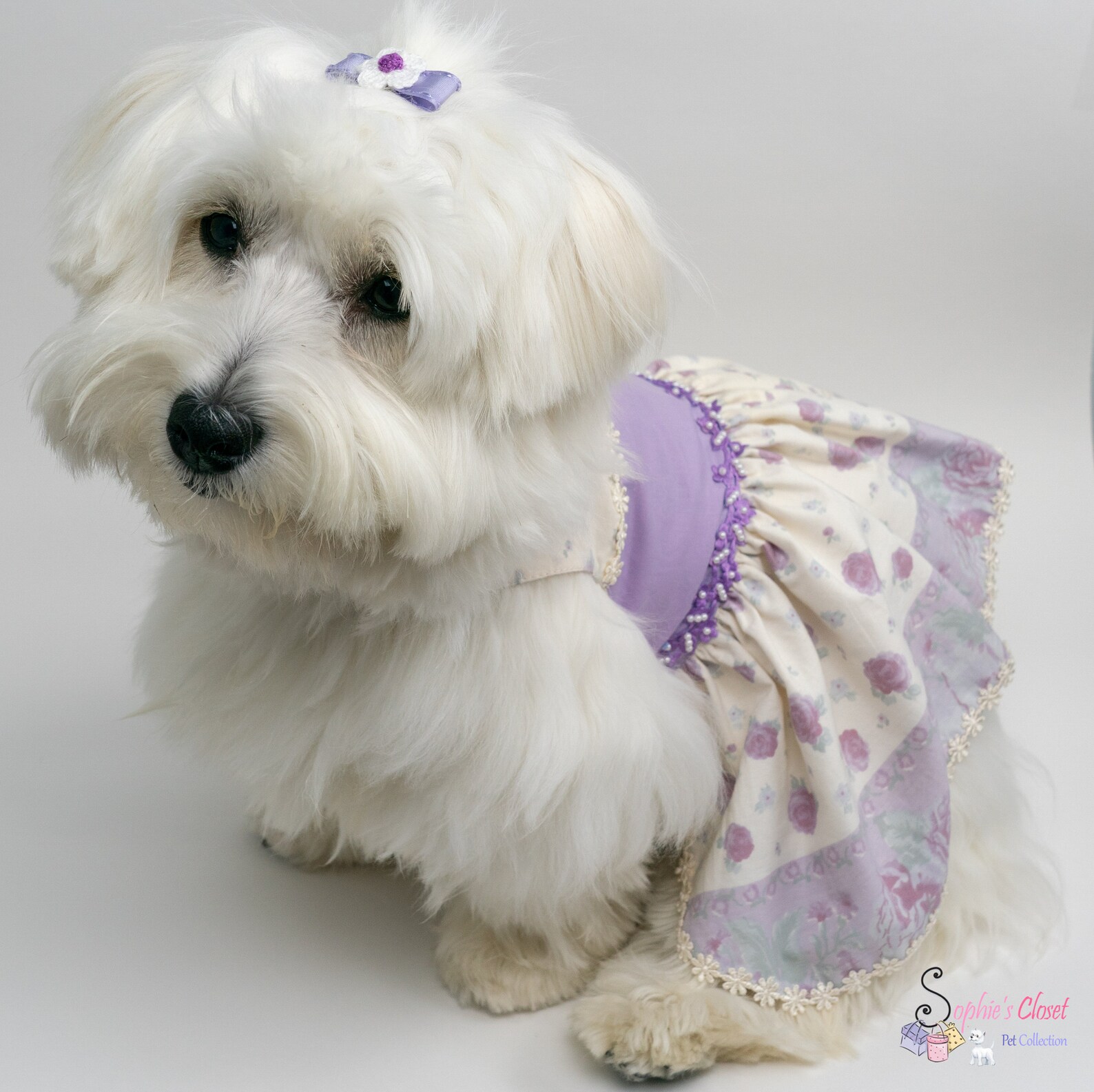 Pretty Girl Dog Dress Dog Dress Dress for Dog Pet Flower Etsy
