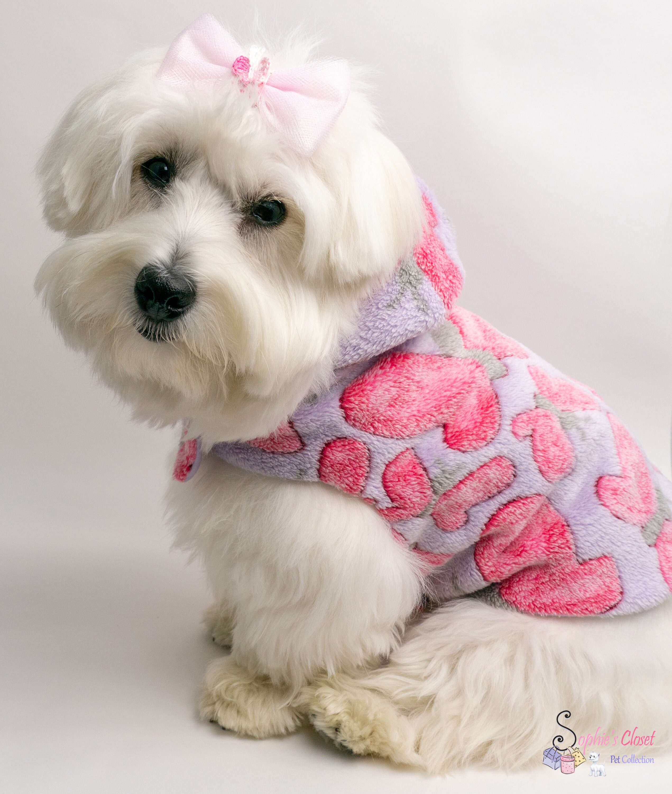 Butterfly Dog Hoodie