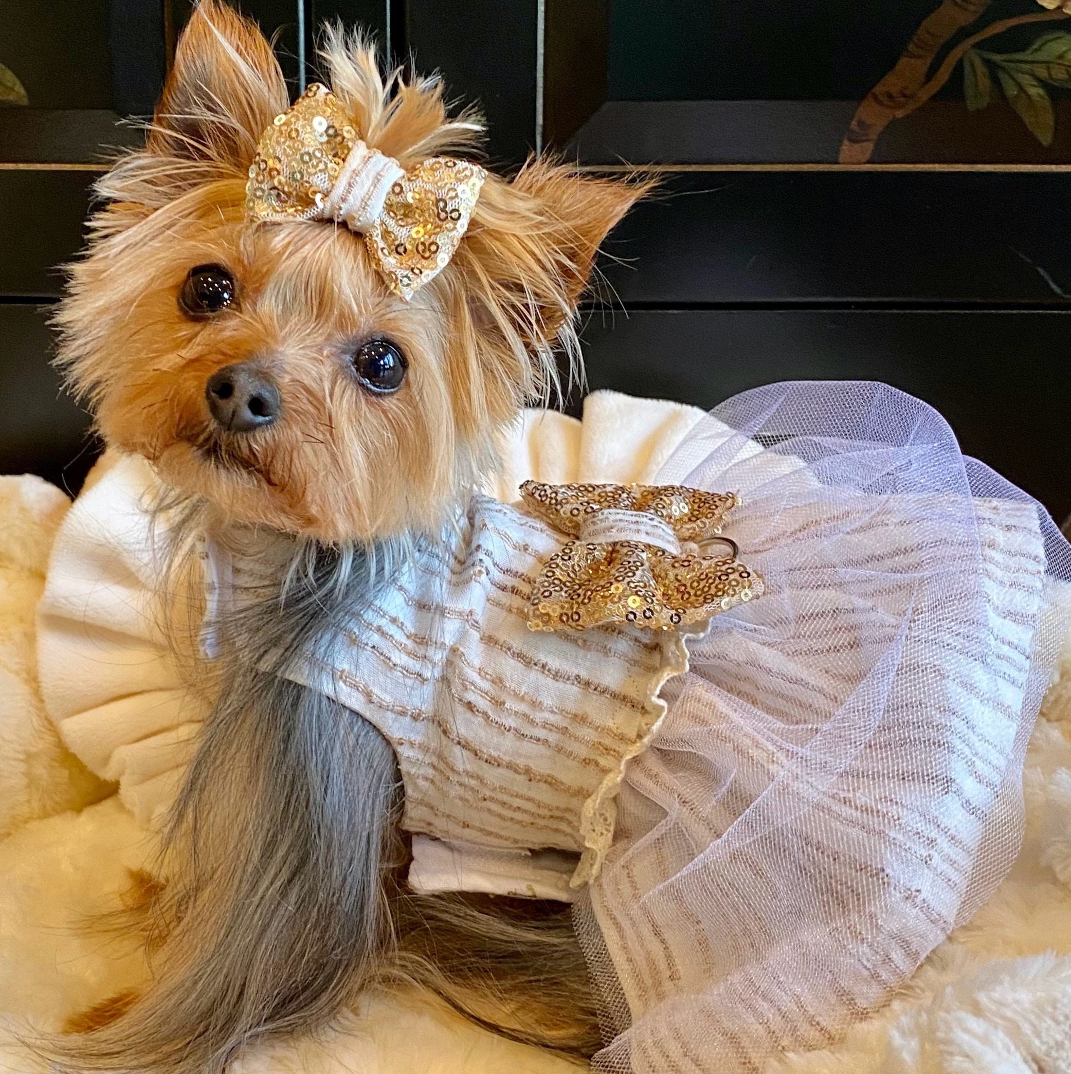 HUANSUN Luxury Pet Clothes Coat Dog Dress Autumn Winter Vintage Tweed  Outfit Chain Bag Pearl Skirt Classic Camellia,White,XL