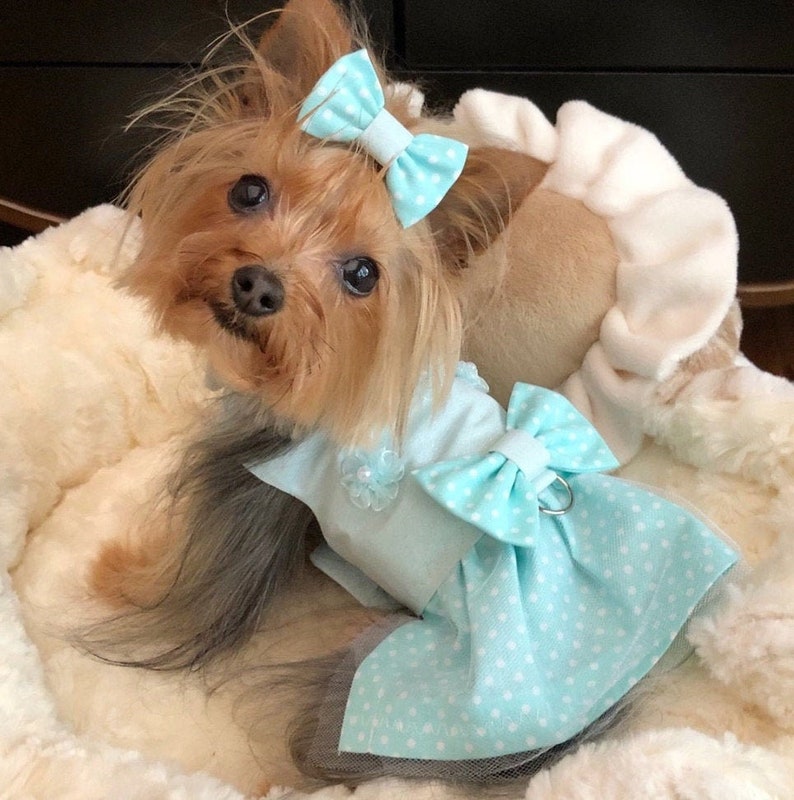 Party Clothes For Pets Pet Attire Pet Harnesses Dog Dress Custom Harness For Pets Puppy Supplies Cat Dress Teal Wedding Dog Harness
