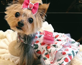 Strawberry Puppy Dress: Cotton Dog Harness, XXS Puppy Clothes