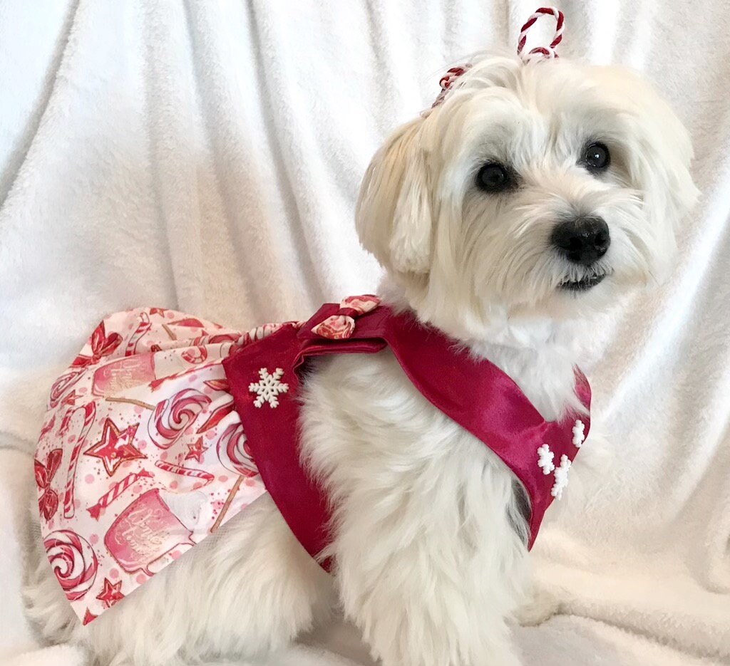 christmas dog harness dresses Holiday Dog Harness Dress