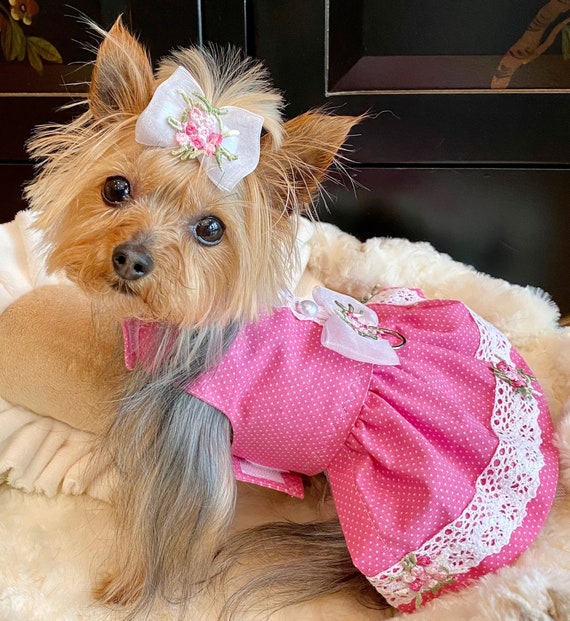 Yorkie Clothes Accessories Outfits To Dress Up Your Pup atelieryuwa