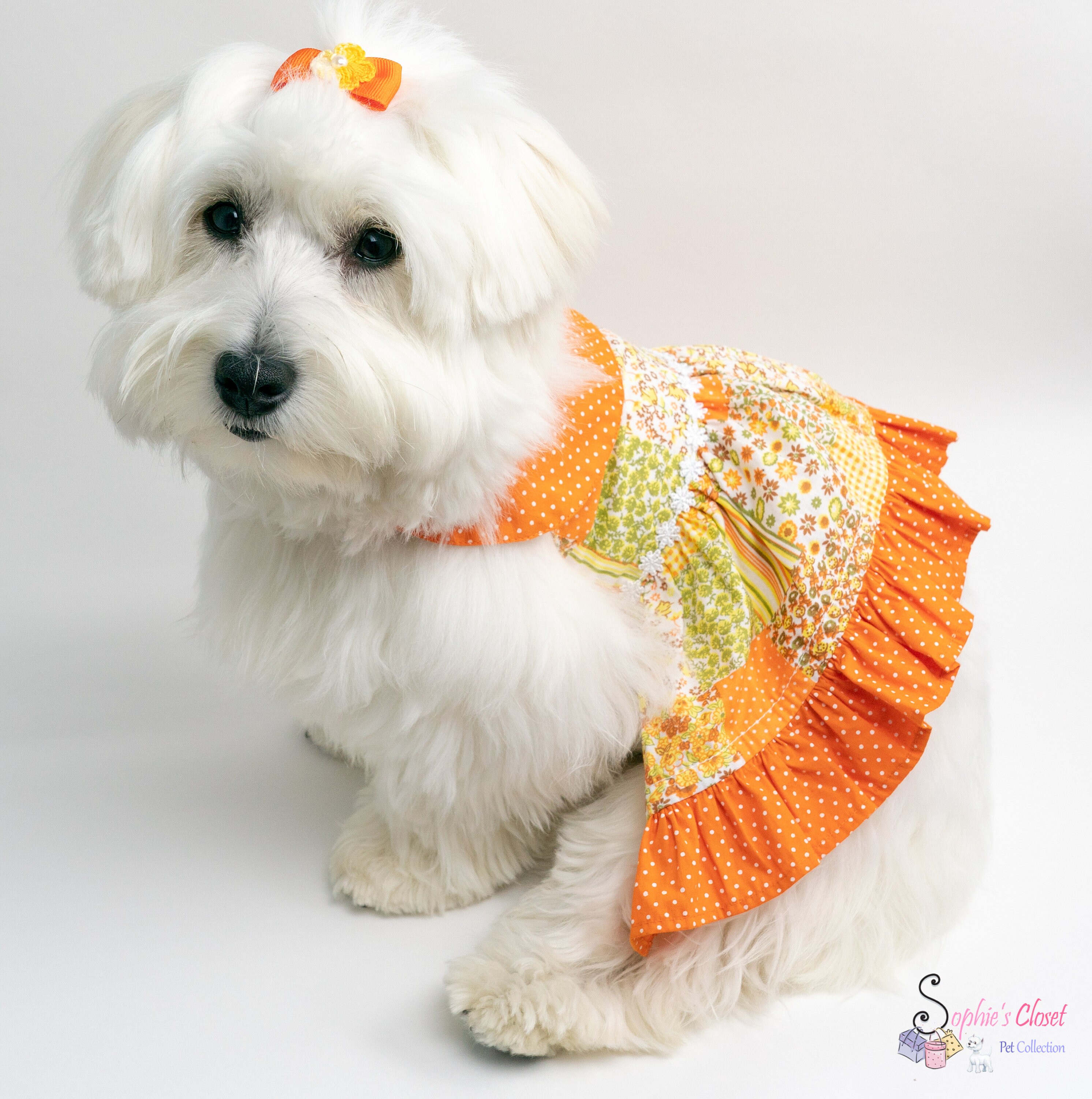 open lace back dress DOG SUMMER SLEEVELESS TOP  Originally A Dog