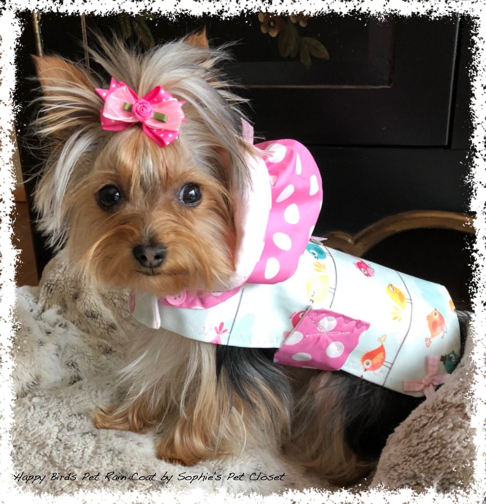 yorkie raincoat