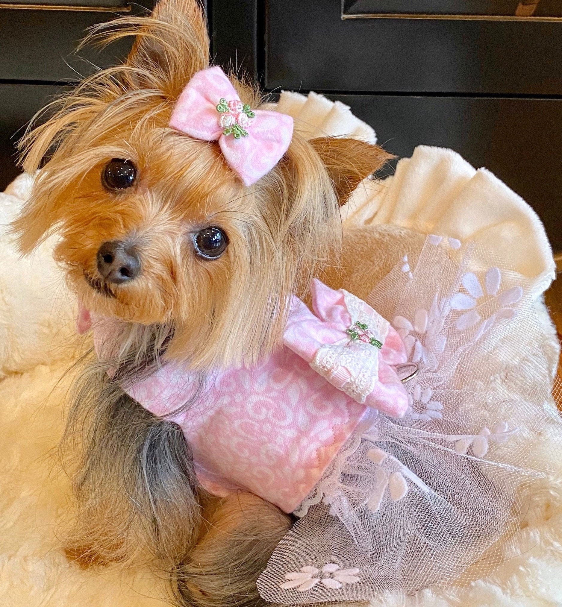 boutique dog harness