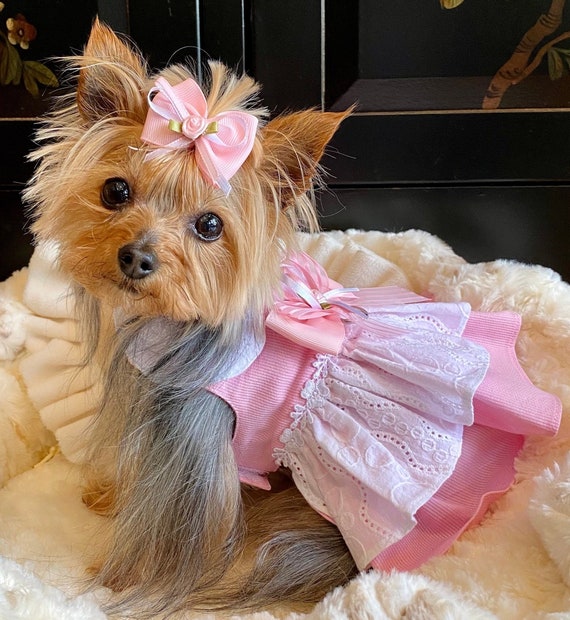 Yikeyo Small Dog Girl Dress Fruit Pattern Tutu Skirt Summer Clothes for Pet  Puppy Cat Apparel,2 Pieces Fall Dog Dress (X-Small(2.2lb-3.3lb)