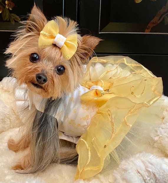 2 Pieces Dog Dresses for Small Dogs Cute Girl Female Dog Dress Mommy Puppy  Shirt Skirt Doggie Dresses Pet Summer Clothes Apparel for Dogs and Cats