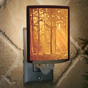 Forest Night Light - Porcelain Lithophane "Woodland Sunbeams", nature, forest, woods themed plug in accent light