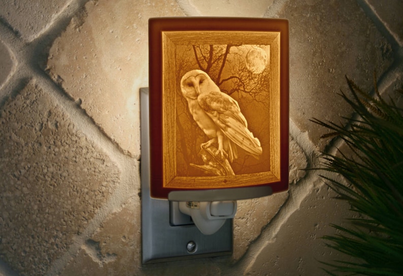 Porcelain Lithophane Owl Night Light