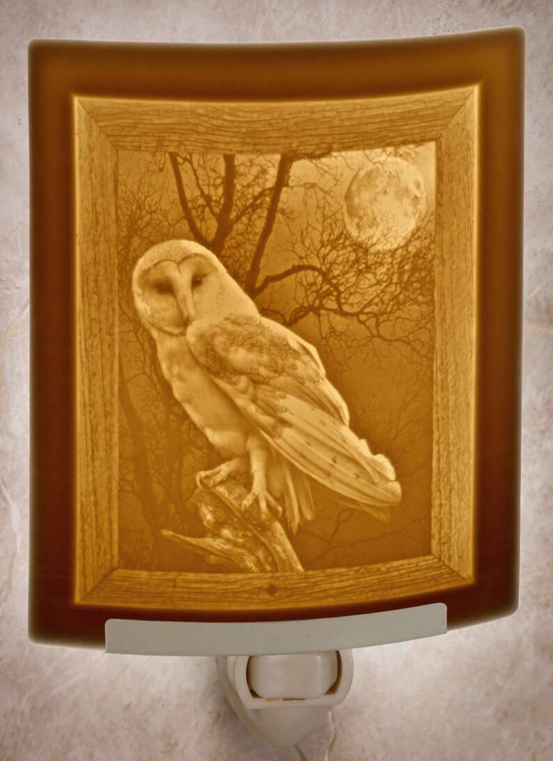 Porcelain Lithophane Owl Night Light