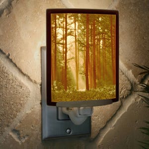 Forest Night Light Porcelain Lithophane Woodland Sunbeams Colored tree, nature, forest, sunrays themed plug in accent light image 1