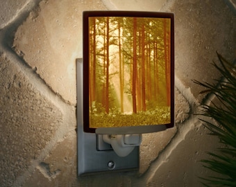 May include: A night light with a ceramic plate featuring a photograph of a woodland scene. The plate is illuminated from behind, creating a warm glow. The night light is plugged into an electrical socket.