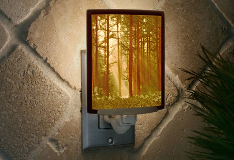 Forest Night Light Porcelain Lithophane Woodland Sunbeams Colored tree, nature, forest, sunrays themed plug in accent light image 1