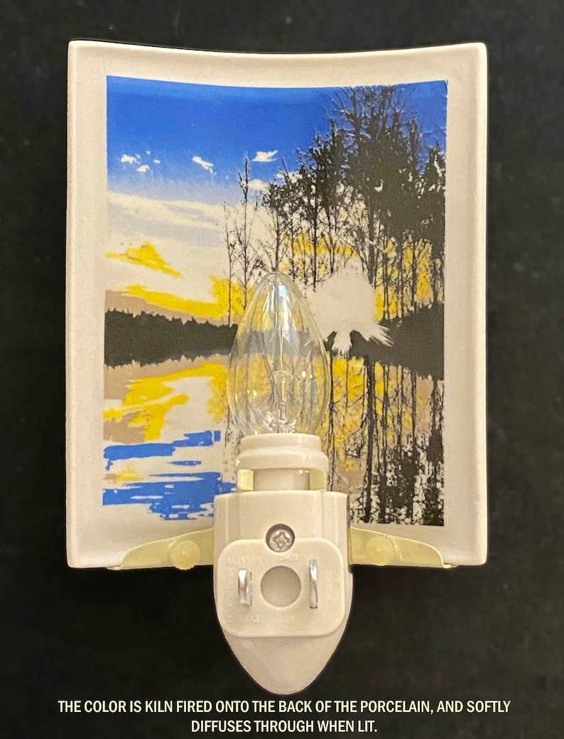 ThePorcelainGardenUS Lithophane Night Light - Thumbnail 3