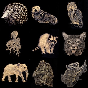 Any Animal Women&#39;s Tri-blend Scoop Neck T-Shirt, Pick From 24 Designs