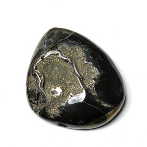 Russian Ammonite cabochon High grade Sea Fossil cabochon Designer Cabochon Ammonite cabochon with Pyrite