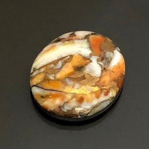 Spiny Oyster with bronze Cabochon, 25x22x5mm, Designer Cabochon, VERY BEAUTIFUL!