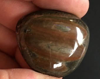Ammolite, 43ct, 30 by 26mm, Designer ammolite cabochon, Fossil cabochon