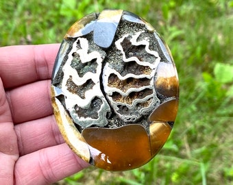 Huge Collector Ammonite cabochon with Pyrite High grade Sea Fossil cabochon Designer Cabochon Russian Ammonite cabochon