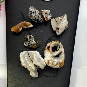 Set of 7 Tampa Bay Coral specimens - Collector Fossils - Jewelry making stones - craft supply