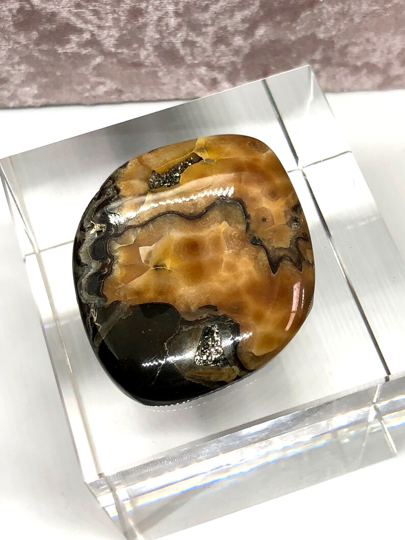 Russian Ammonite cabochon High grade Sea Fossil cabochon Designer Cabochon Ammonite cabochon with Pyrite