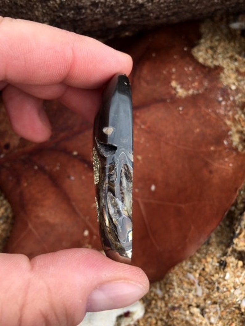 Healing mineral Ammonite cabochon with Pyrite druzy Rare Fossil Energy stone 55x26mm-6mm Sea Fossil cabochon
