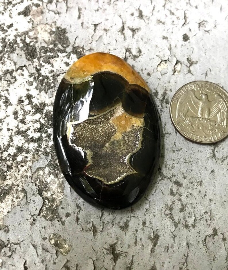 Russian Ammonite cabochon High grade Sea Fossil cabochon Designer Cabochon Ammonite cabochon with Pyrite