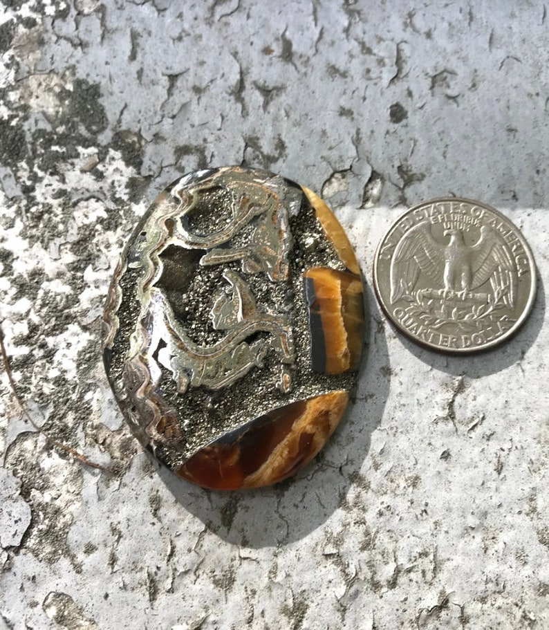 Huge Collector Ammonite cabochon with Pyrite High grade Sea Fossil cabochon Designer Cabochon Russian Ammonite cabochon