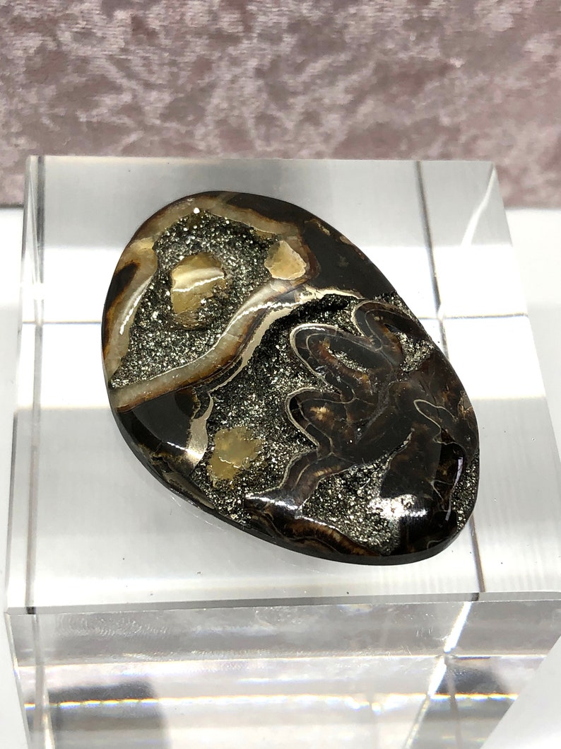 Ammonite cabochon with Pyrite High grade Sea Fossil cabochon Russian Ammonite cabochon Designer Cabochon