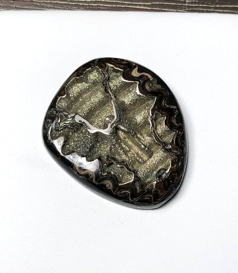 Huge Collector Ammonite cabochon with Pyrite High grade Sea Fossil cabochon Designer Cabochon Russian Ammonite cabochon