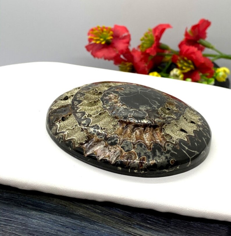 Huge Collector Ammonite cabochon with Pyrite High grade Sea Fossil cabochon Designer Cabochon Russian Ammonite cabochon