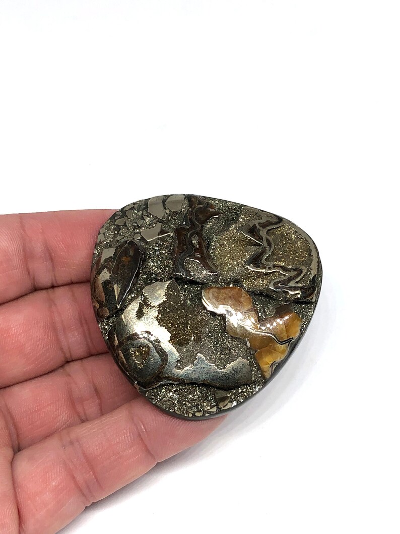 Russian Ammonite cabochon Designer Cabochon High grade Sea Fossil cabochon Huge Ammonite cabochon with Pyrite