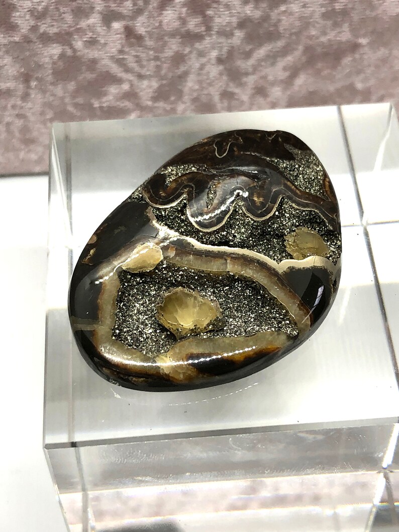 Ammonite cabochon with Pyrite High grade Sea Fossil cabochon Russian Ammonite cabochon Designer Cabochon