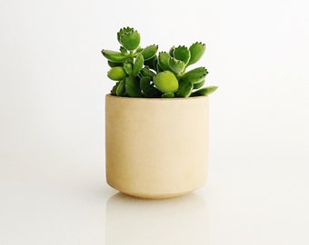 Small Straight Sided Concrete Pot / Blush