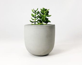 Small Concrete Bowl Planter / Light Gray