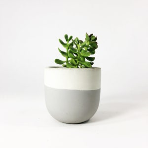 Small Concrete Bowl Planter / Light Gray Flip zdjęcie 3