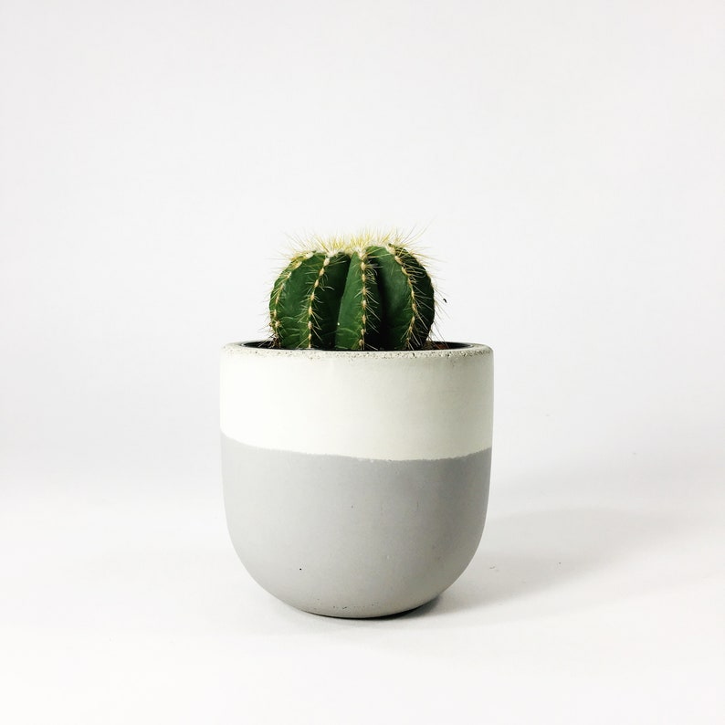 Small Concrete Bowl Planter / Light Gray Flip zdjęcie 2