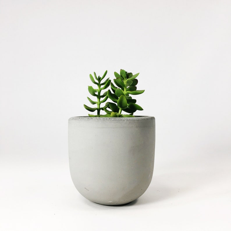 Small Concrete Bowl Planter Light Gray