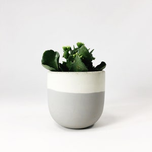 Small Concrete Bowl Planter / Light Gray Flip zdjęcie 4