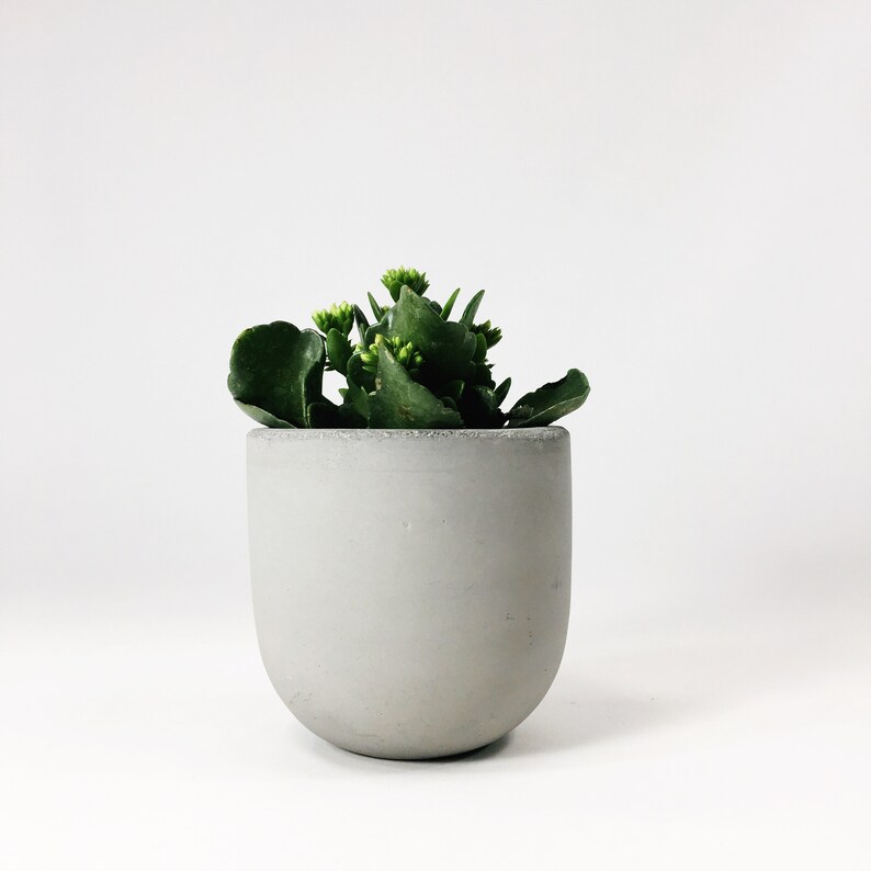 Small Concrete Bowl Planter Light Gray