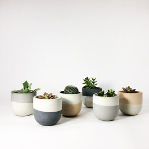 Small Concrete Bowl Planter / Light Gray Flip zdjęcie 5