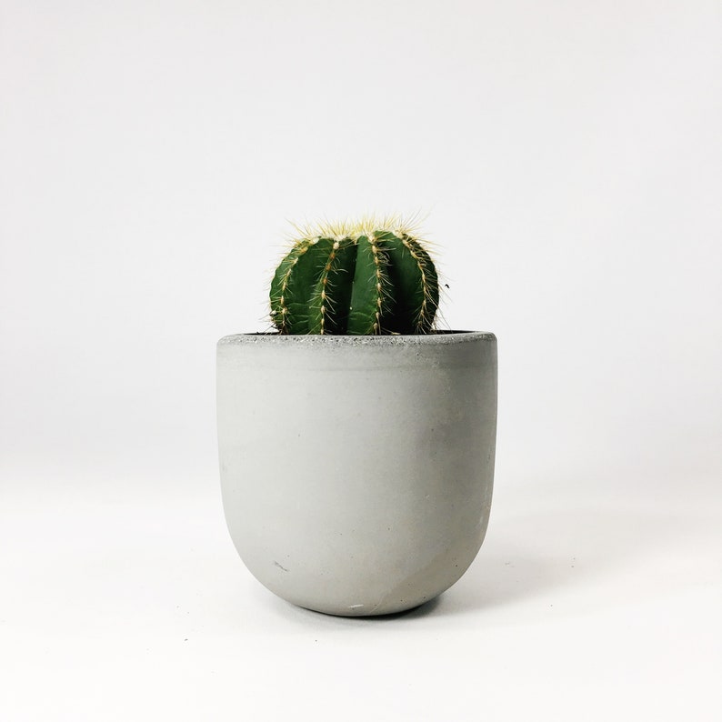 Small Concrete Bowl Planter Light Gray
