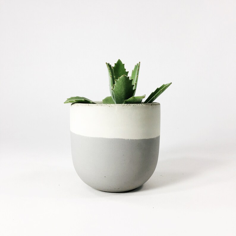 Small Concrete Bowl Planter / Light Gray Flip zdjęcie 1