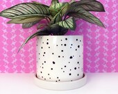 Black Spots Ceramic Planter-large