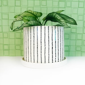 May include: A white ceramic planter with a black dotted stripe pattern, holding a green plant with large leaves. The planter sits on a matching white saucer. The background is a light green wall with a square pattern.