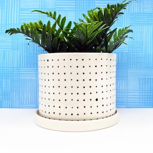 May include: A white ceramic plant pot with a black polka dot design, containing a green plant with long leaves. The pot sits on a matching saucer. The background is a blue and white patterned wall.